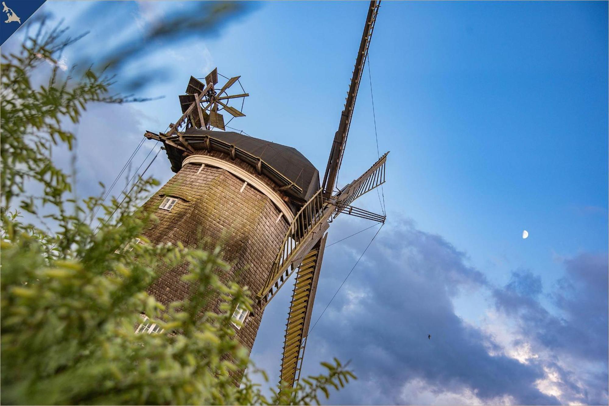 Ferienanlage Seeblick Ostseeperle Koserow Exterior foto